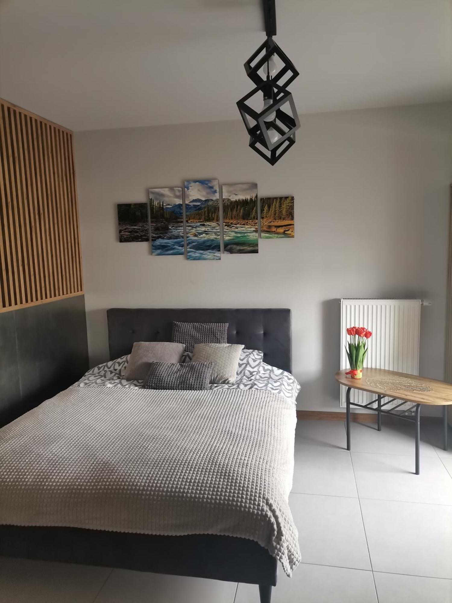 Apartament Gorska Szarotka Nowy Targ Exterior photo